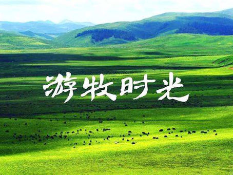 迷宫（第77天）