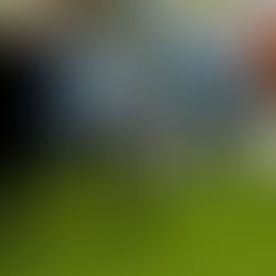 纽约时报:为什么美国人都想搬家去得州?