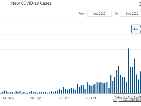 不省心的加拿大（2020.11.21第60天）
