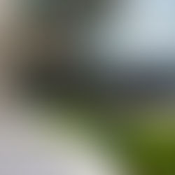 潛十分細致軟總部——西雅圖