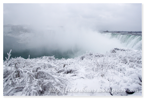 Niagara-Falls 河岸的樹都被雪和冰覆蓋了~