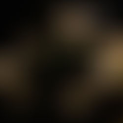 这一公司股价涨幅惊人,未来仍然看涨