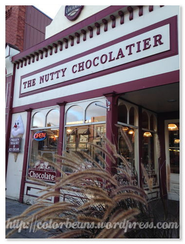 The Nutty Chocolatier