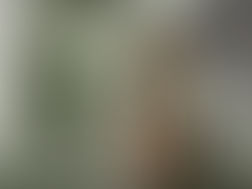 油价再跌5%,自高点已暴跌20%!市场聚焦OPEC+会议