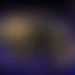 古埃及法老“集体搬家”:22具木乃伊乘“黄金车队”; 印度单日感染病例超10万;印度发现的“双重变异”新冠病毒首次在美出现...