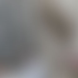 在强劲的收益和经济振奋的推动下,华尔街收高