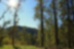 ENTORNO NATURAL