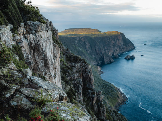 Tasmania 4x3-1.jpg