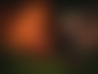 Halloween Rookbom Fotoshoot