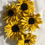 Thumbnail: Decor: Sunflower