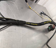 engine management pic 3.jpg
