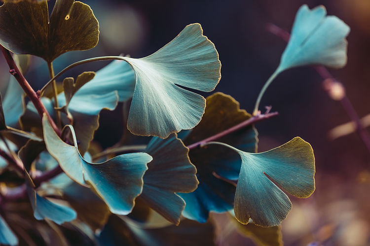 AdobeStock_459995206.jpeg