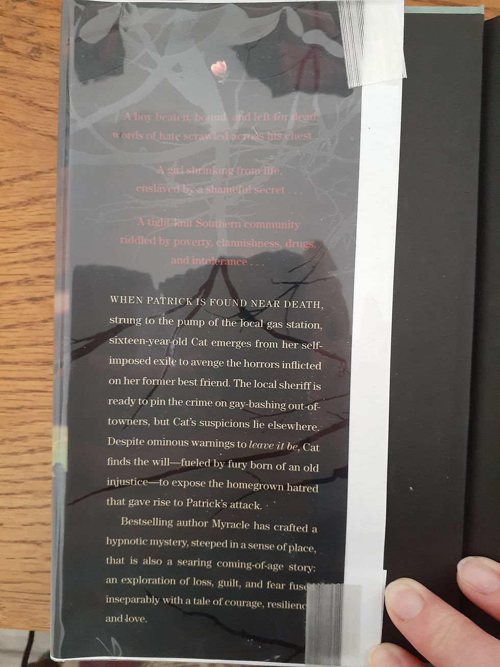 Thumbnail: Shine by Lauren Myracle