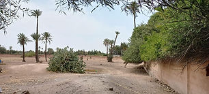 Superbe environnement pour bâtir deux villas individuelles. Vente du terrain dans son entier. Possibilité de division en deux lots. Electricité, clos de murs.