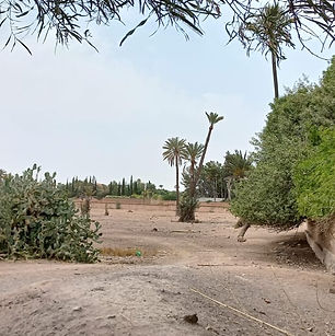 Superbe environnement pour bâtir deux villas individuelles. Vente du terrain dans son entier. Possibilité de division en deux lots. Electricité, clos de murs.