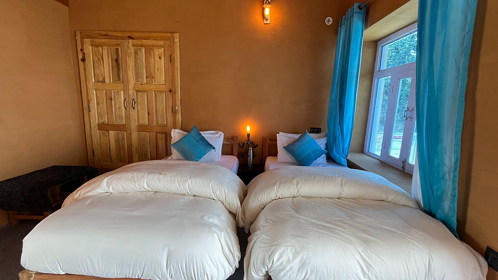 RusticEarthRoomtwinbed