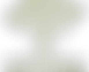 Olive Harvest with Sindyanna