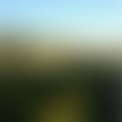 Skip to 2019...... 
there are sooooo many animals in and around our home.....
