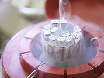 Congelamento de Óvulos e Preservação de Fertilidade