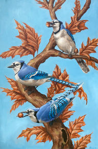 El Tributo, blue jay oil painting,  Joseph Grice Art
