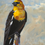 Thumbnail: Yellow Hooded Blackbird, gouache study