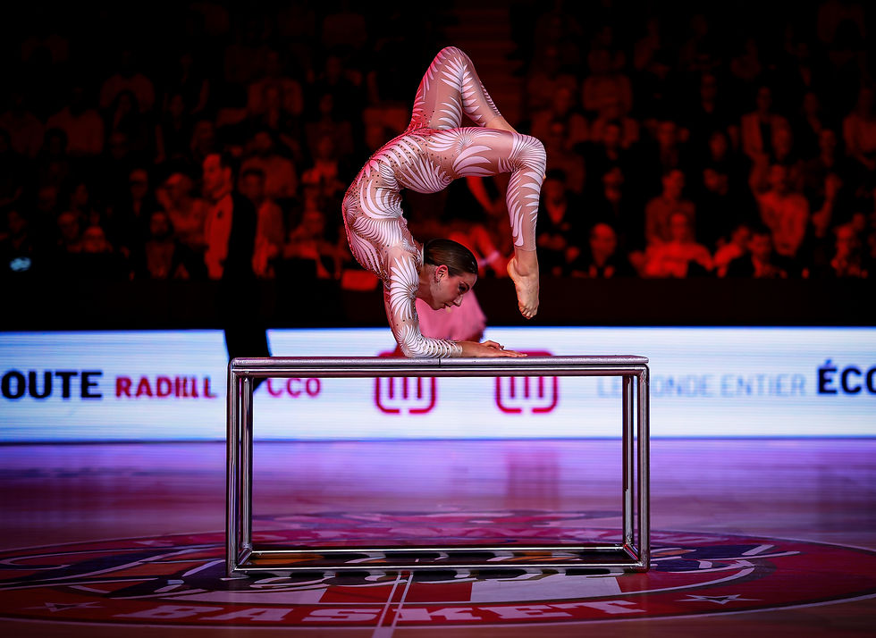 Contortionist