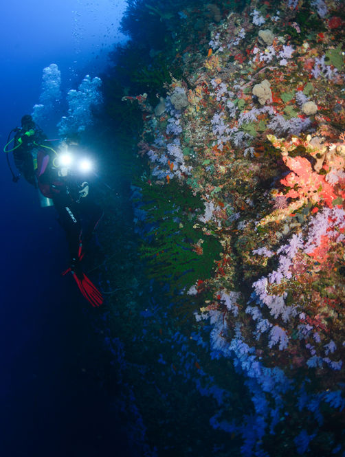 Scuba diver explores a colorful coral reef in deep blue water Waterlust Fiji