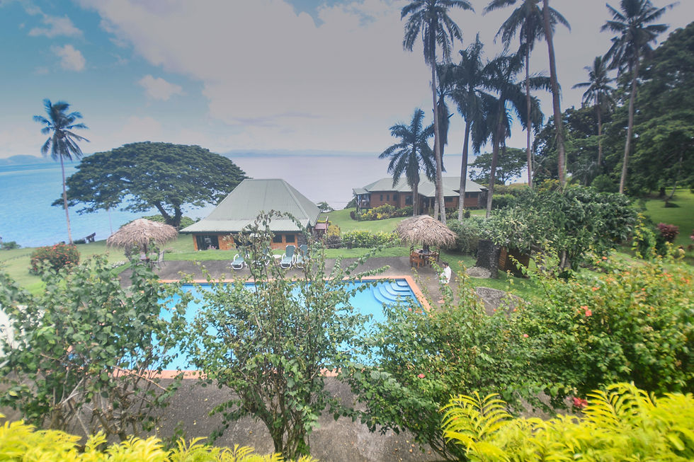 Thumbnail: swimming pool amid tropical trees