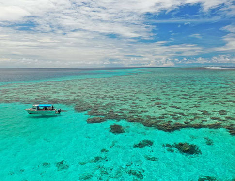 CORAL REEF AT ONETA RESORT