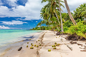 Scenic Fijian beach with coconuts