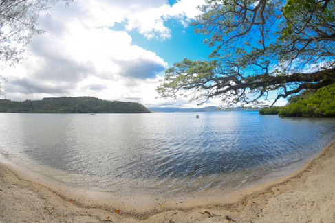 Scenic Fijian beach with calm water, lush greenery, and a tranquil atmosphere