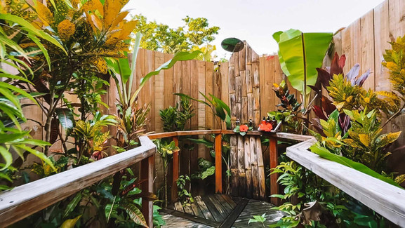 Lush tropical shower with wooden walls