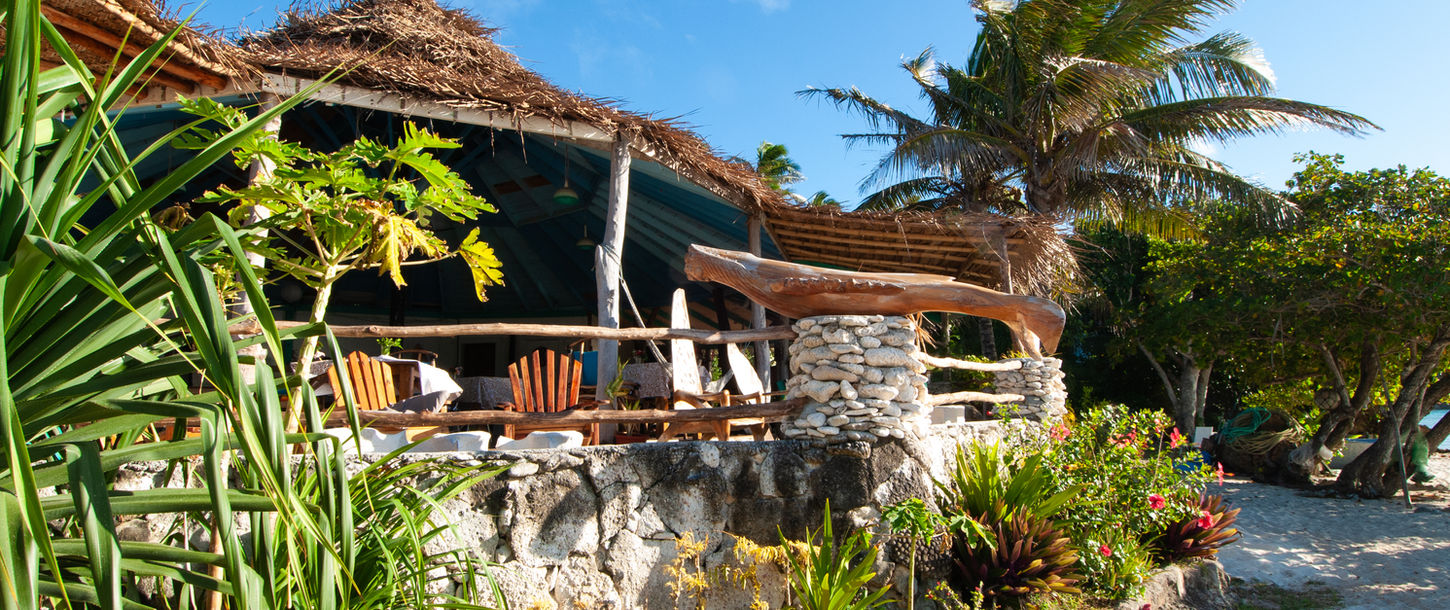 Rustic thatched-roof building at a tropical resort with palm trees, blue sky.