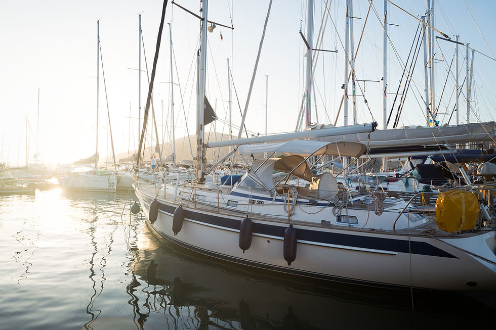 picture-of-row-of-sailboats-reflected-in-water-2026-03-24-23-52-00-utc.jpg