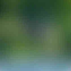 Two waterfalls cascade down lush, tropical hillside