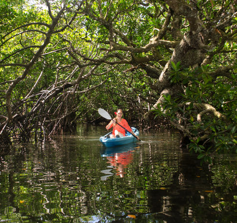 MANGROVE KAYAKING AT BEQA ISLAND