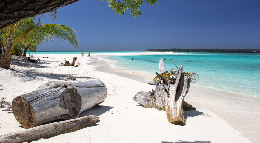 Scenic Fijian beach with driftwood