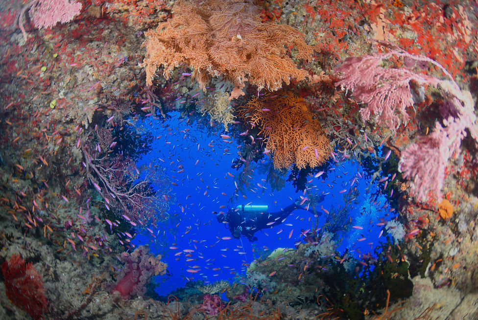 _DSC4139_edited.jpg