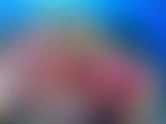 More than a bucket list : diving in Fiji is a journey into the soft coral capital of the world!