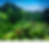 Home Page Image.png
