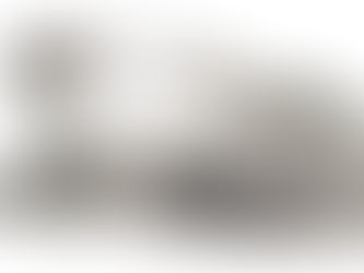 Inscrições Nehan Sesshin 2026