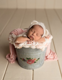 eugene oregon newborn photographer