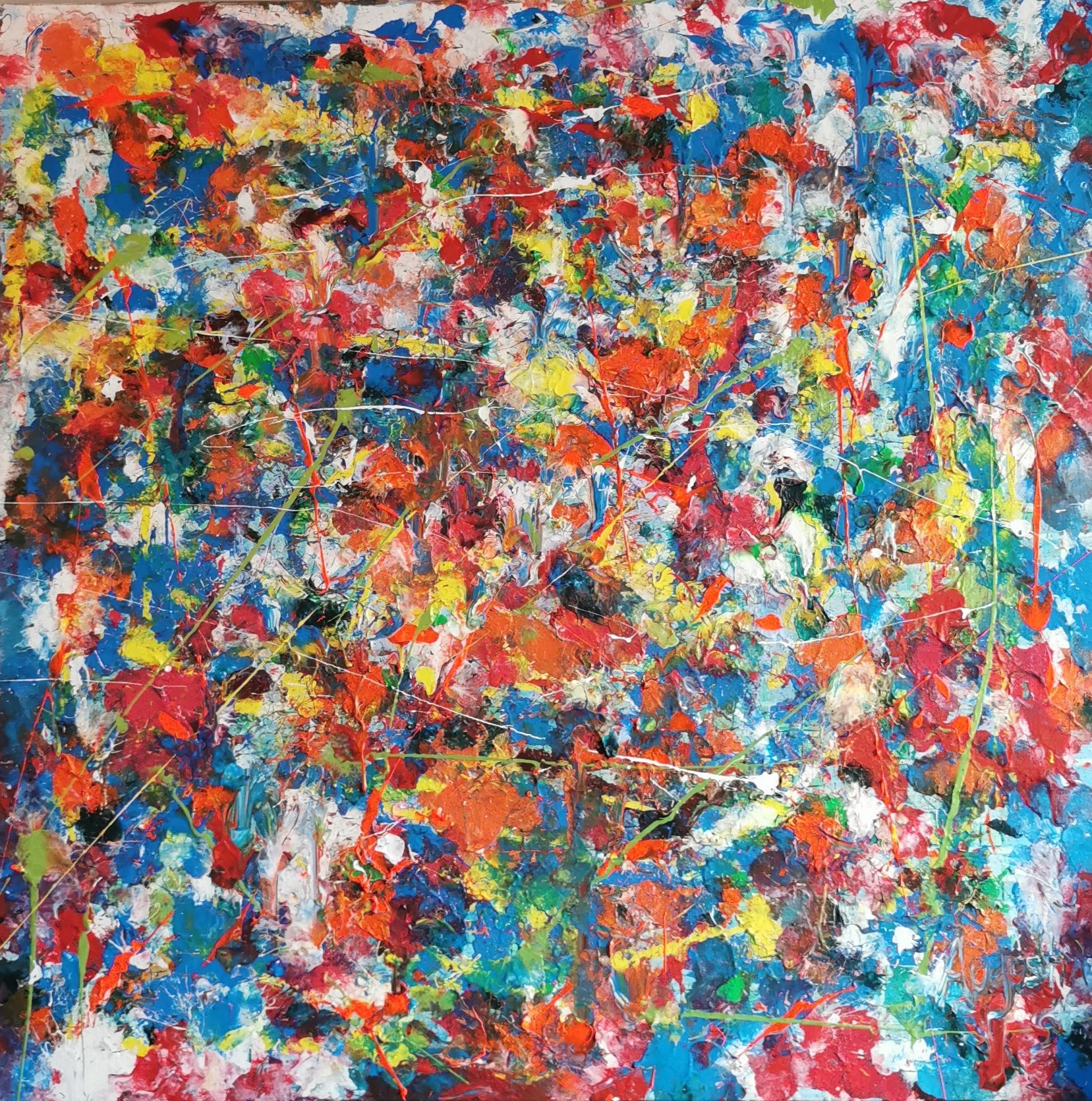 Ara all around - Augustin Sagehomme