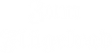Logo Flu¦êgelrad_Wortmarke_wei+ƒ.png