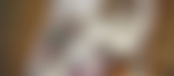 A Pocket Archive (31)