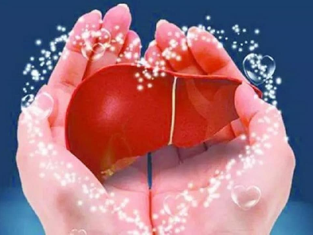 TẠI SAO CHỮA TRÀO NGƯỢC DẠ DÀY LẠI CHỮA GAN ?