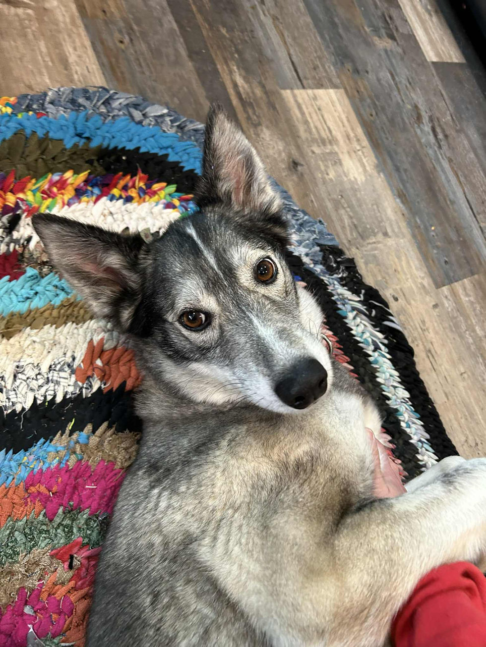 att.Ky0BGYqdiPElrVBiY2oNjwLGW3KrJIbvumo4N9jUcSE