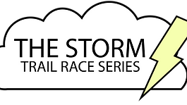 A Virtual Storm the Stairs Series raises $700 for Solomon's Song