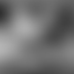 Brazilian Jiu-Jitsu vs Other Martial Arts - A Guide for Adults