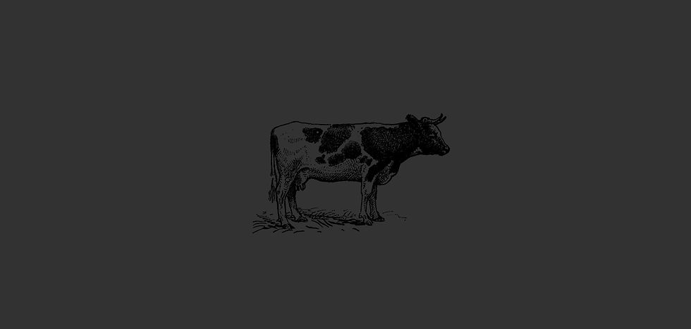 strip_cow_edited.jpg